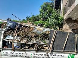 Shed Removal in Williamson, WV