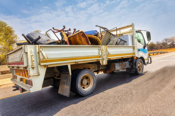 Best Carpet Removal and Disposal  in Williamson, WV